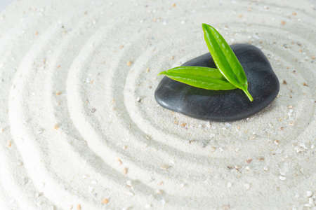 Black stone with a green leaf in white sand, passing through the circlesの写真素材