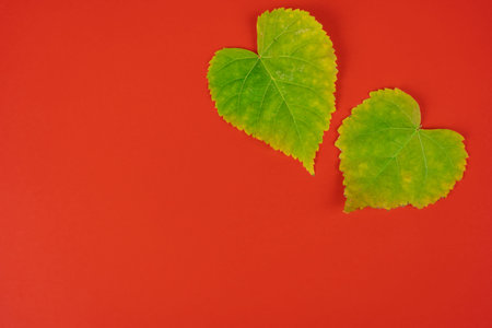 Two green heart shaped leaves on a red background