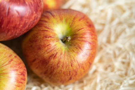 Freshly picked apples on strawの写真素材