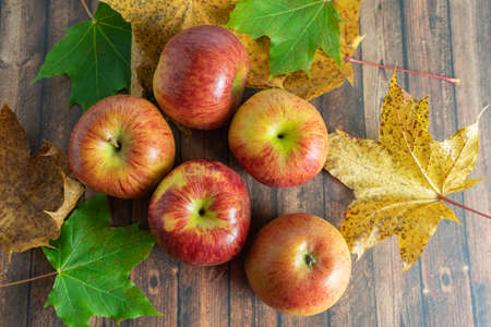 fresh apple fruits in autumnの写真素材