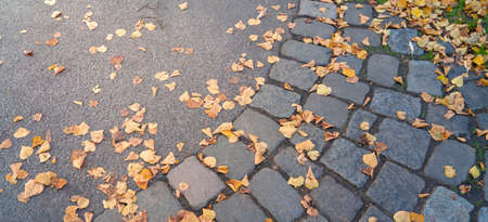 Cobblestone pavement on the edge of a road with autumn leaves, view from above and copy spaceの写真素材
