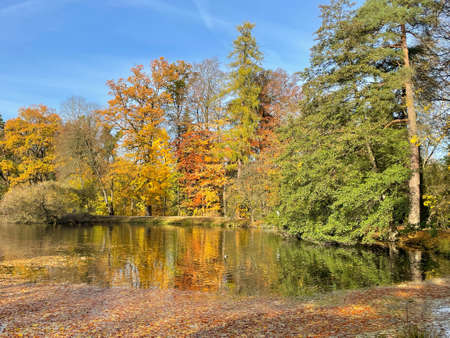 Lake in a park in autumn with colorful leaves and reflections in the waterの写真素材