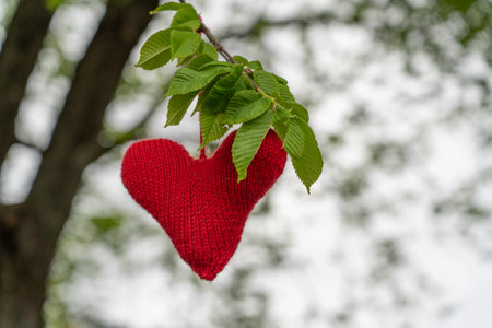 Red knitted heart in a treeの写真素材