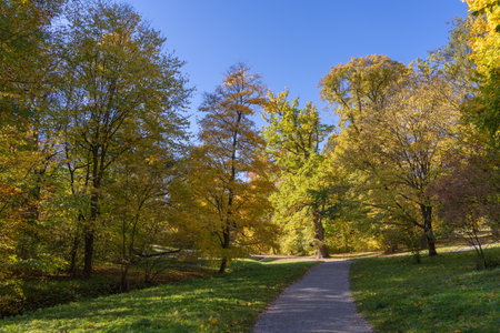 Path through a park in the beginning of autumn with sunshineの写真素材