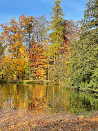 Lake in a park in autumn with colorful leaves and reflections in the waterの写真素材