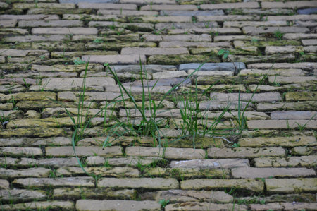 A ground level view of an uneven old cobbled road. The disused road has grass growing in between the...