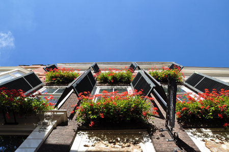 Upwards perspective view of traditional shuttered windows with overflowing window boxes of red...
