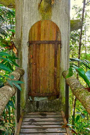 Mysterious entrance to a tree house. An old wooden arched doorway at the end of a rustic slatted wooden foot bridge. の写真素材