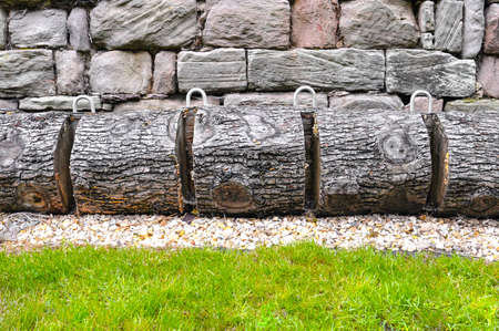 An environmentally friendly bicycle rack made from a tree truck.の写真素材