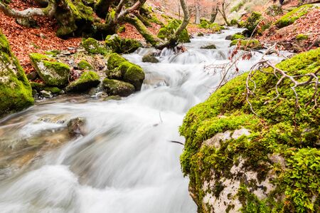 Photograph of the beech forest of Ciñera, Leon (Spain) known as Faedo, declared the best preserved forest in Spain in 2007. You can see the river that crosses the forest with a silk effectの写真素材