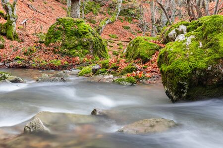 Photograph of the beech forest of Ciñera, Leon (Spain) known as Faedo, declared the best preserved forest in Spain in 2007. You can see the river that crosses the forest with a silk effectの写真素材