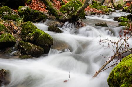 Photograph of the beech forest of Ciñera, Leon (Spain) known as Faedo, declared the best preserved forest in Spain in 2007. You can see the river that crosses the forest with a silk effectの写真素材