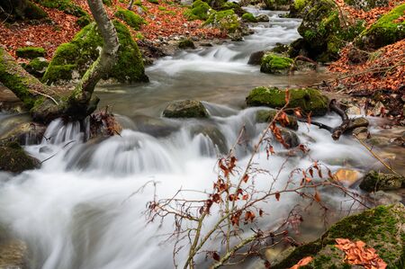 Photograph of the beech forest of Ciñera, Leon (Spain) known as Faedo, declared the best preserved forest in Spain in 2007. You can see the river that crosses the forest with a silk effectの写真素材