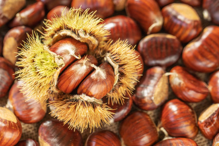 Ripe chestnuts close up. Sweet edible chestnuts. Husked chestnuts, chestnuts with skin. Organic food. Harvestの写真素材