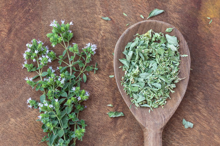 Dried marjoram or oregano and fresh twigs marjoram on a wooden background, spice, herb, organic foodの写真素材
