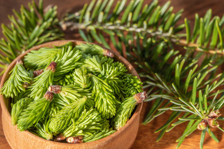 Young spruce shoots on a wooden background, spruce sprouts, natural remedy, alternative medicine