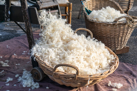Sheep wool in wicker baskets , shaven wool.の写真素材