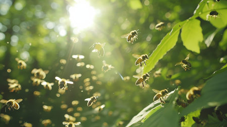 Swarm of bees in the forest close up, bee oasis, concept biodiversity, banner, empty spaceの素材