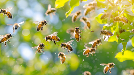 Swarm of bees in the forest close up, bee oasis, concept biodiversity, banner, empty spaceの素材