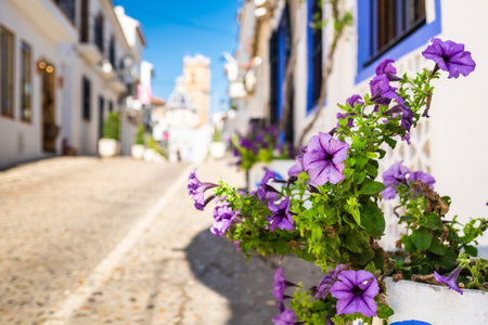 Flowers in a street of Altea