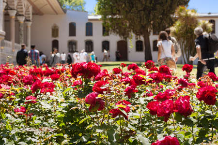 Istanbul, Turkey; May 25th 2013: Red blossom in Topkapi gardens.のeditorial素材