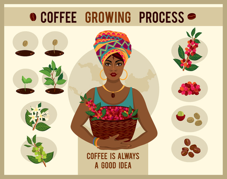 African woman is a coffee farmer with a basket of coffee berries on the farm. Woman in traditional African clothes. Process of planting and growing a coffee tree poster. Coffee growing processのイラスト素材