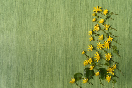 Yellow flowers on green background. Flat lay, top view, copy space