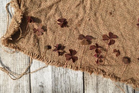 Clover leaves on burlap cloth over wooden background, top view