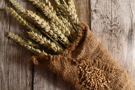 ears of wheat in a burlap bag on a wooden background.の写真素材
