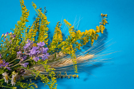 Bouquet of wildflowers and wheat ears on a blue background. Herbal consecration of the Assumption of Mary day.の写真素材