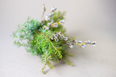 Decorative bouquet featuring willow branches and evergreen twigs, symbolizing Palm Sunday traditions...