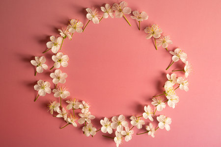 Flowers composition. Frame made of cherry blossoms on pink background. Flat lay, top view, copy spaceの写真素材