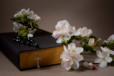 Rosary and branch of blossoming apple tree with holy bible on dark background