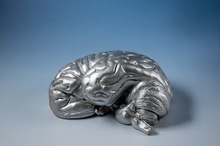 Human brain on blue background. Conceptual image of mental health.の写真素材