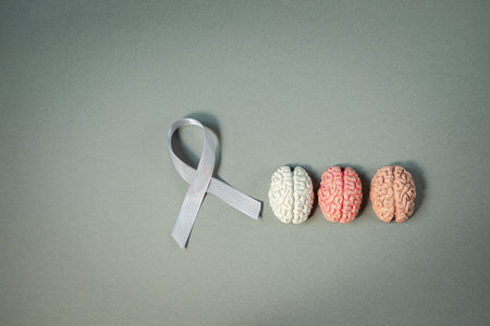 Three brains and gray awareness ribbon on gray backgroundの写真素材