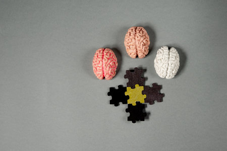 Brains and puzzle pieces representing thought processes and problem solvingの写真素材
