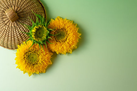 Sunflowers and Wicker Basket Arrangement on Green. Flat lay, top view.の写真素材