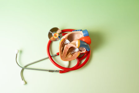 Medical stethoscope and human heart model on green background. Health care concept.