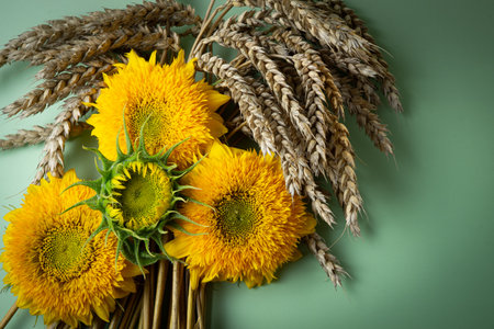bouquet of sunflowers and wheat ears on green backgroundの写真素材
