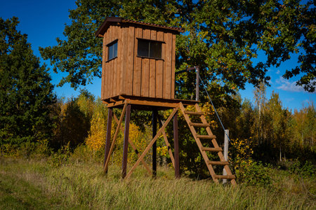 Elevated Wooden Hunting Stand in Autumn Forestの写真素材