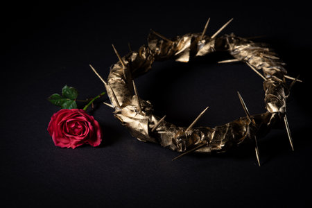 Golden Crown of Thorns and Red Rose on Black. Selected focusの写真素材