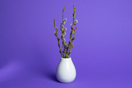 Bouquet of willow branches in vase on purple backgroundの写真素材