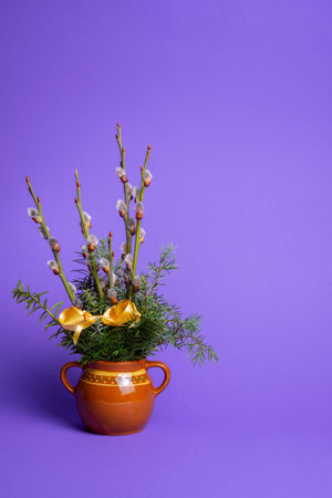 Bouquet of willow branches in a clay pot on a purple background