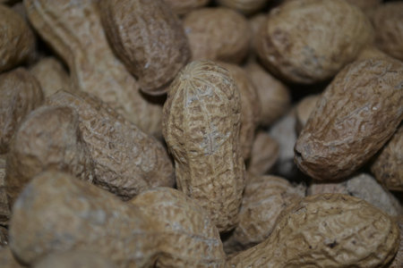 peanut in the market, close up of peanuts in the marketの素材