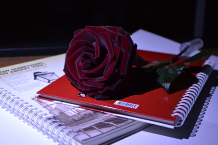 Red rose on a diary and a pen on a black background.の写真素材