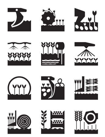 Crop growing and harvesting of agricultural productsのイラスト素材