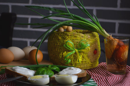 Different ways to cook chicken eggs. Omelet, poached, soft-boiled, hard-boiled, scrambled eggs. View...
