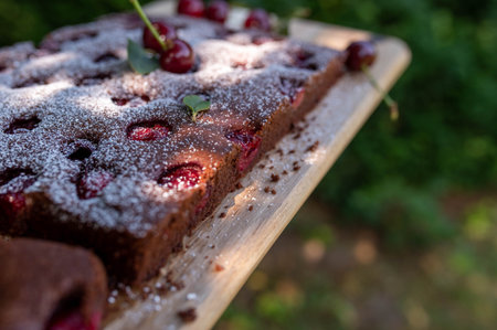 Cherry chocolate cake on a tray outside in the garden