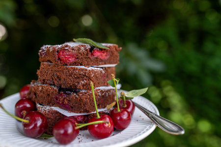 Stack of chocolate sheet cake with cherries on a plate in the gardenの写真素材