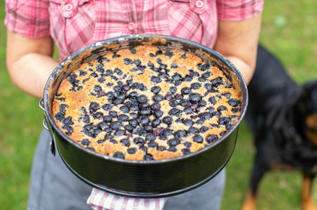 Woman holding a freshly baked blueberry cake in a cake pan in her handsの写真素材